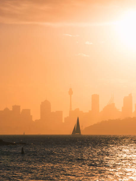 istock Sail the city 910722114