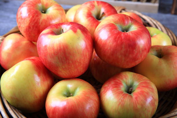 istock Fresh organic honey crisp apples 910730662