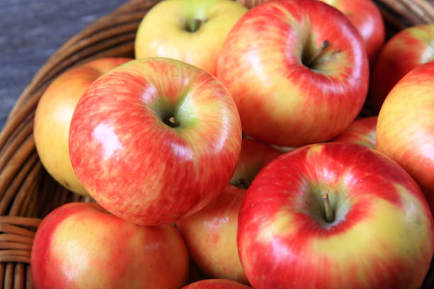 istock Fresh organic honey crisp apples 910730678