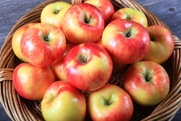 istock Fresh organic honey crisp apples 910730882