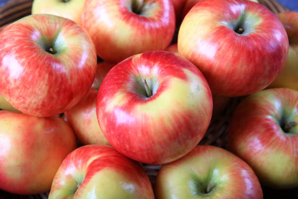 istock Fresh organic honey crisp apples 910730892