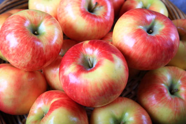 istock Fresh organic honey crisp apples 910731054