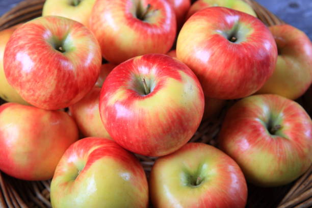 istock Fresh organic honey crisp apples 910731112
