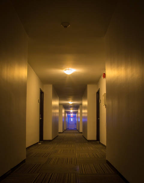 istock The corridor in a hotel 910733492