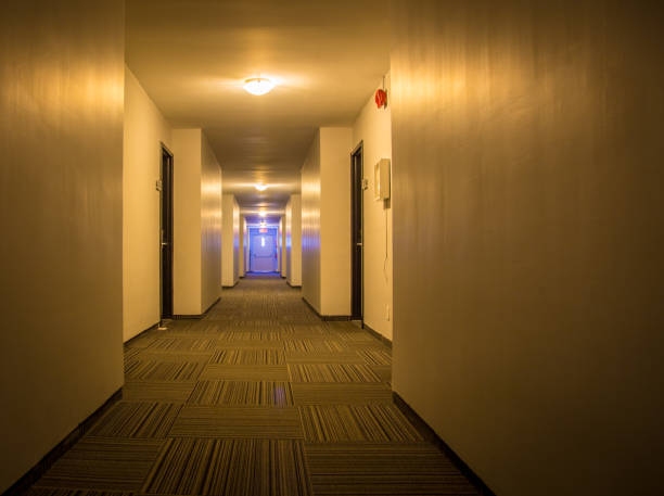 istock The corridor in a hotel 910733504