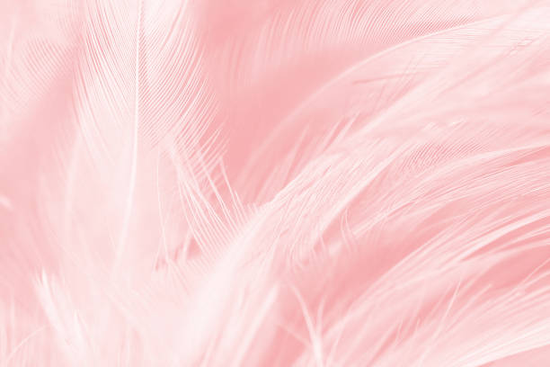 istock Coral Pink vintage color trends feather texture background 910736650