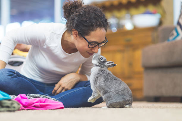 istock The Joy of Living with Pets 910736974