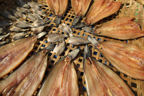 dried fish, drying fish in the sun for food preservation