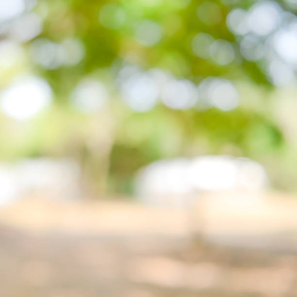 istock Shiny sunlight natural green leaves bokeh 910739700