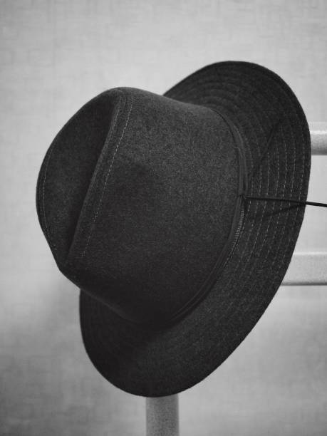 istock Fedora, Hat, Fashion 910748664