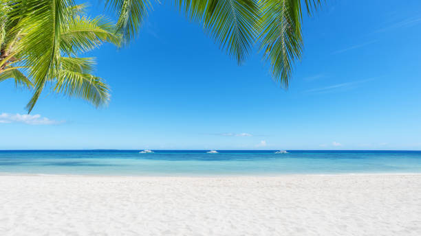 istock Tropical paradise sandy beach and sea with blue sky background 910758602