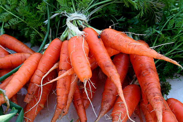 Tombe de carottes fraîches bio - Photo