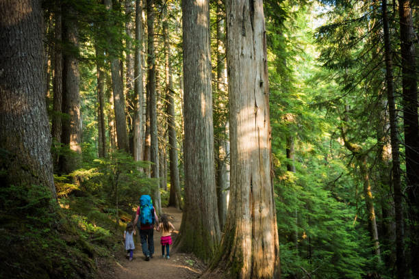 Father and daughters immersed in nature