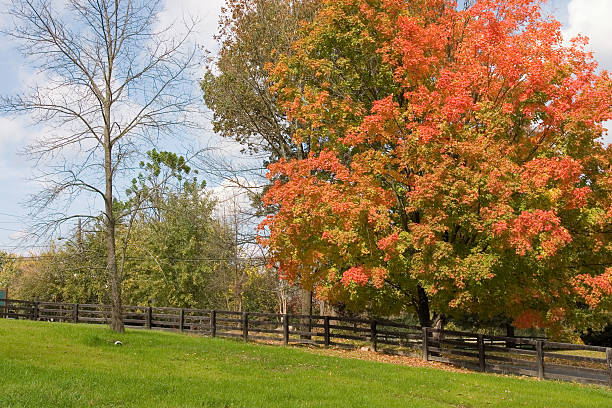 istock countryside in fall with fence 91076530