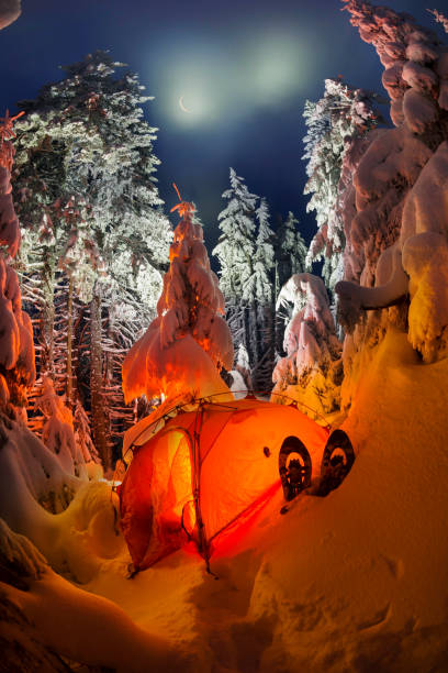 istock Illuminated winter forest in the Carpathians 910770912