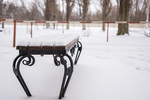 bench in the yard in winter
