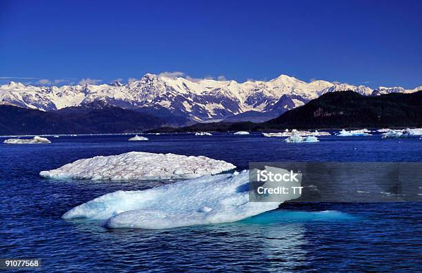 Massa De Gelo Flutuante - Fotografias de stock e mais imagens de Admirar a Vista - Admirar a Vista, Ajardinado, Alasca
