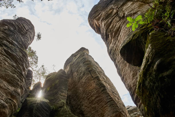 istock sandstone rocks - Prachovske skaly (Prachov Rocks) 910775964