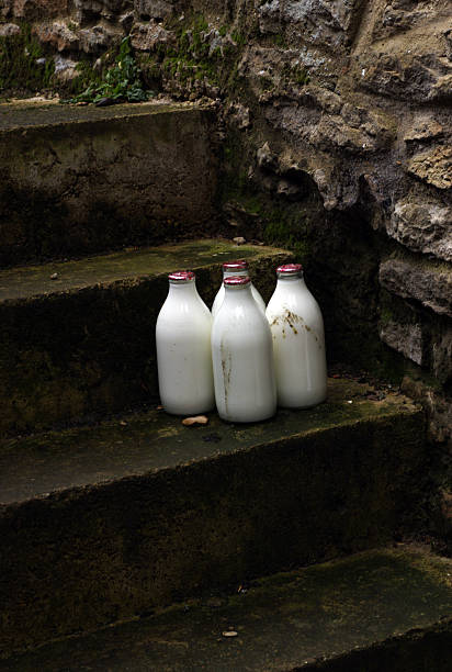 レインが散りばめられた本 - milk bottle bottle milk doorstep ストックフォトと画像