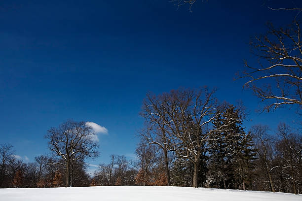 invierno bosque, illinois - lisle fotografías e imágenes de stock