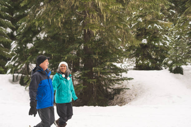 istock Senior Snowshoeing Adventure! 910789946