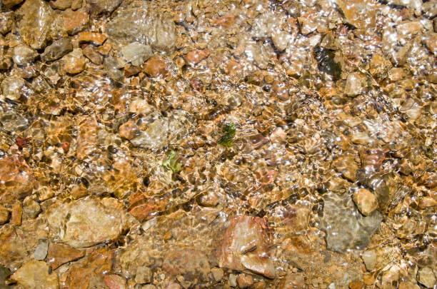 Pebbles in creek or stream flowing water closeup