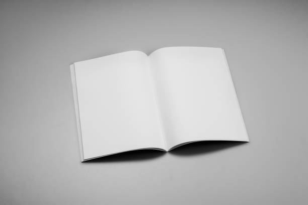 istock Mock-up magazines, book or catalog on gray table background 910794186