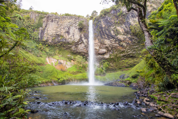 istock New Zealand North Island Scenery 910794200