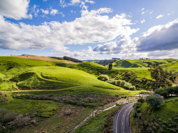 istock New Zealand landscape 910798466