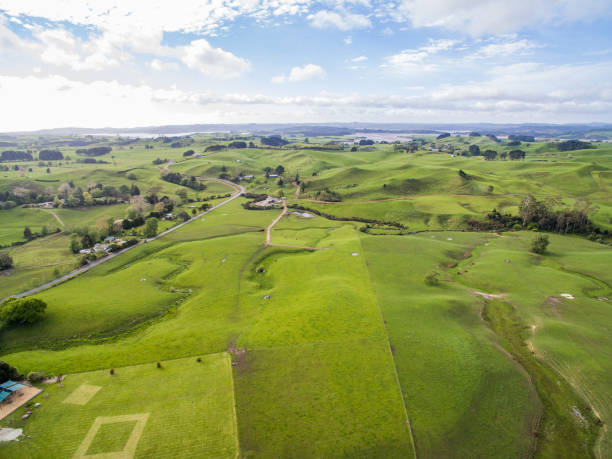istock New Zealand landscape 910798472