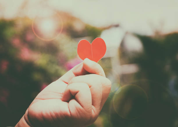 istock Hand holding a heart shape with blurry background for velentine's day 910806764