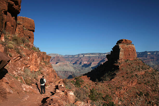 Approaching Cedar Ridge  south kaibab trail stock pictures, royalty-free photos & images