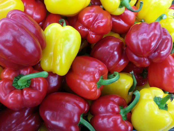 istock Several colorful hot shiny chilli peppers 910810640