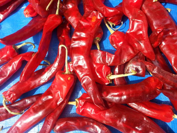 Simla Chilli Red 310+ Shimla Mirch Stock Photos, Pictures & Royalty-Free Images - iStock