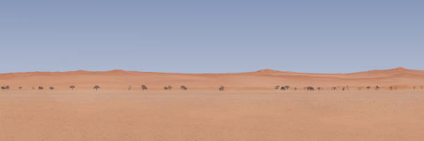 paysage de namibie - featureless photos et images de collection
