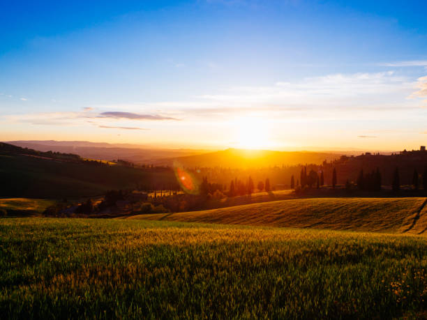istock Beautyful Tuscany, panoramic landscape - Italy 910815144