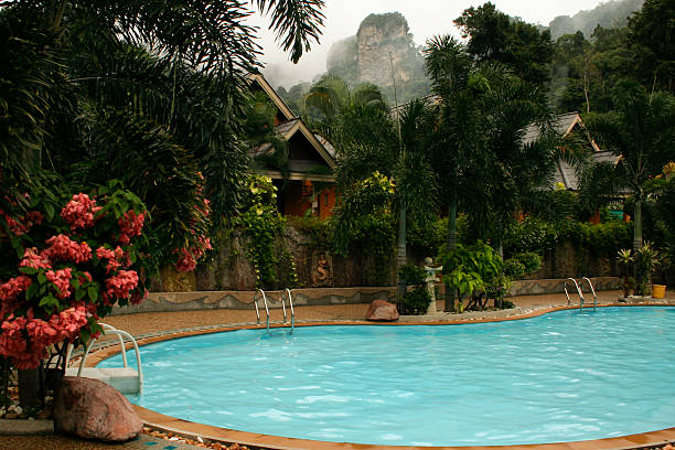 resort tropicale della piscina dell'hotel - luxury hotel palm tree lush foliage asia foto e immagini stock