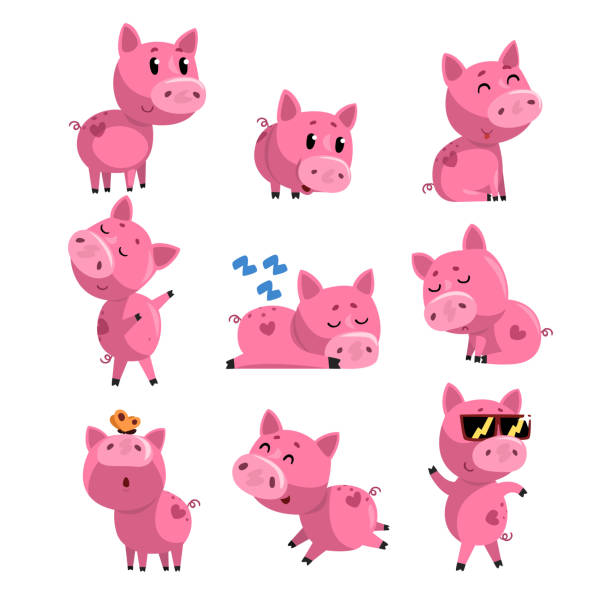 Set Of Cute Little Pig In Different Actions Sleeping Dancing Walking  Sitting Jumping Cartoon Character Of Pink Domestic Animal Isolated Flat  Vector Design Stock Illustration - Download Image Now - iStock