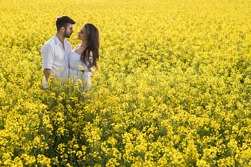 Side view young beauty couple in the field of yellow flowers standing head to head