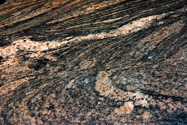 qualité en marbre - gneiss photos et images de collection