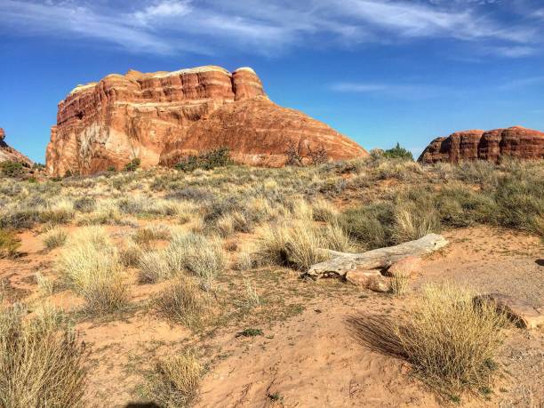 istock Arches National Park in Utah, USA 910824278