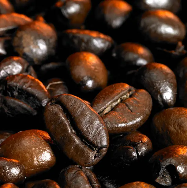 Photo of coffee beans closeup