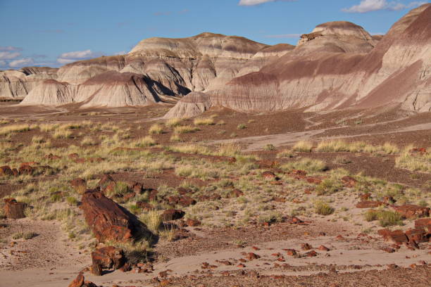 istock Landscape in Petrified Forest National Park 910827596