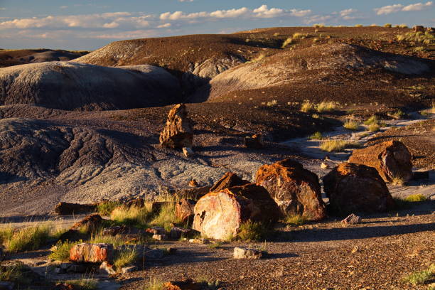 istock Landscape in Petrified Forest National Park 910828326