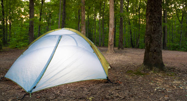 istock Backpacking tent on Uhwarrie National Forest 910828474