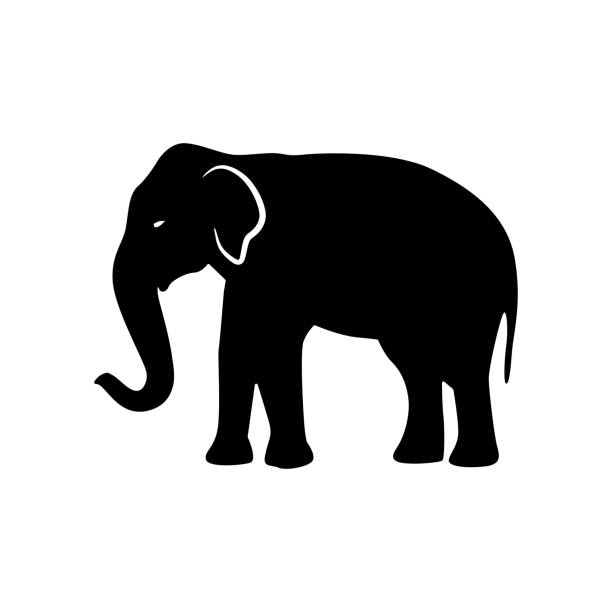 illustrazioni stock, clip art, cartoni animati e icone di tendenza di elefante nero silhouette. vettore - zoology