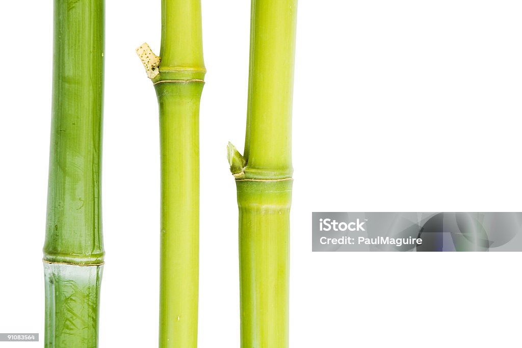 Bamboo  Abstract Stock Photo