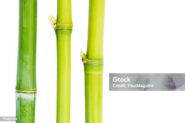 Bamboo Stock Photo - Download Image Now - Abstract, Arrangement, Balance