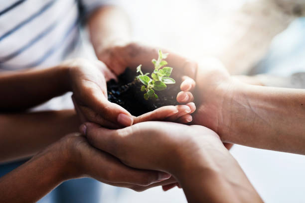 istock Life blossoms when we show some care 910835906
