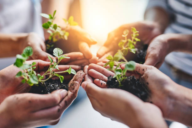 istock All our tomorrows should be brighter than today 910835922